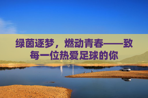 绿茵逐梦，燃动青春——致每一位热爱足球的你