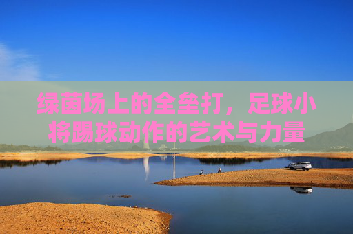 绿茵场上的全垒打,足球小将踢球动作的艺术与力量