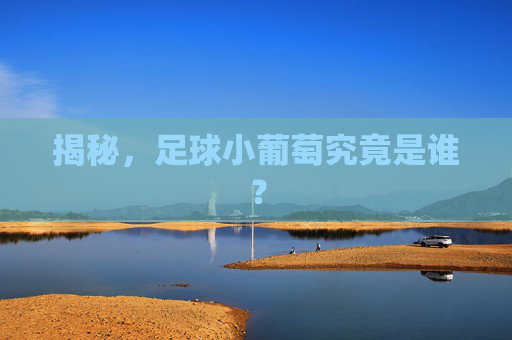 揭秘,足球小葡萄究竟是谁?