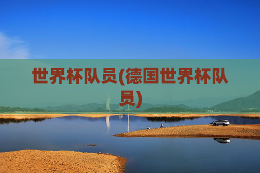 世界杯队员(德国世界杯队员)