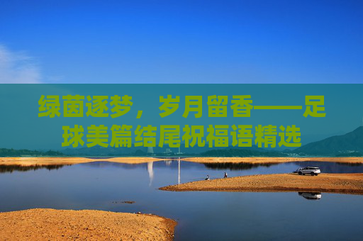 绿茵逐梦,岁月留香——足球美篇结尾祝福语精选