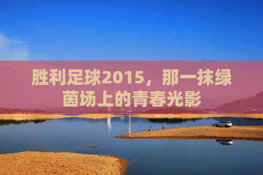 胜利足球2015,那一抹绿茵场上的青春光影