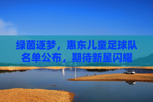 绿茵逐梦,惠东儿童足球队名单公布,期待新星闪耀