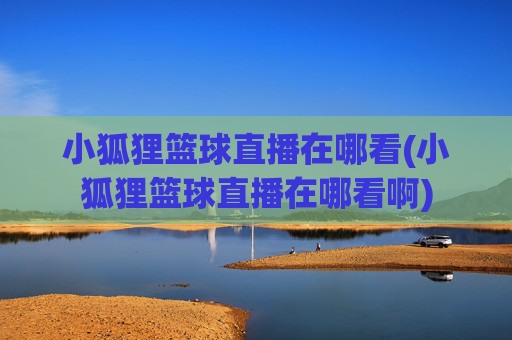 小狐狸篮球直播在哪看(小狐狸篮球直播在哪看啊)