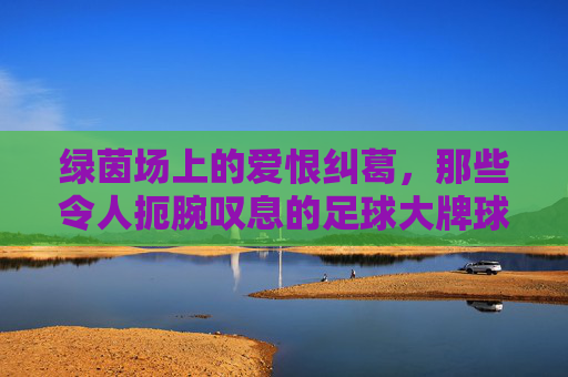 绿茵场上的爱恨纠葛,那些令人扼腕叹息的足球大牌球星情仇