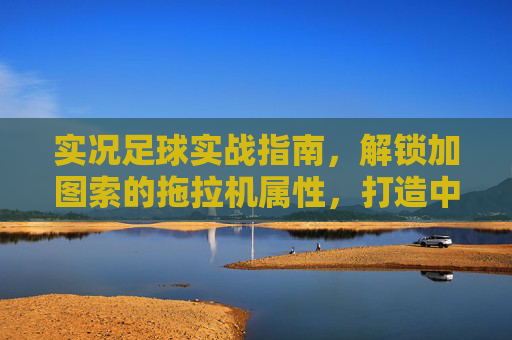 实况足球实战指南,解锁加图索的拖拉机属性,打造中场绞肉机