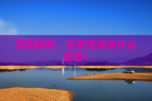深度解析,任家足球是什么意思?