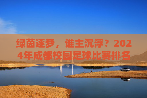 绿茵逐梦,谁主沉浮?2024年成都校园足球比赛排名深度解析