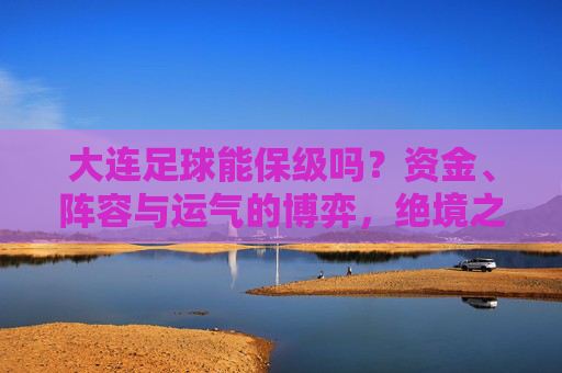 大连足球能保级吗?资金、阵容与运气的博弈,绝境之中能否逆风翻盘?