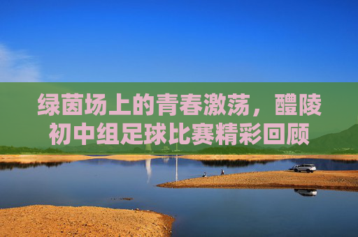 绿茵场上的青春激荡,醴陵初中组足球比赛精彩回顾