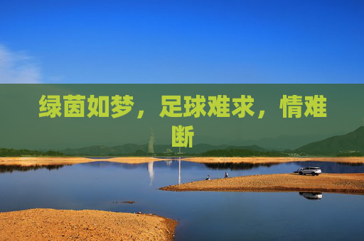 绿茵如梦,足球难求,情难断