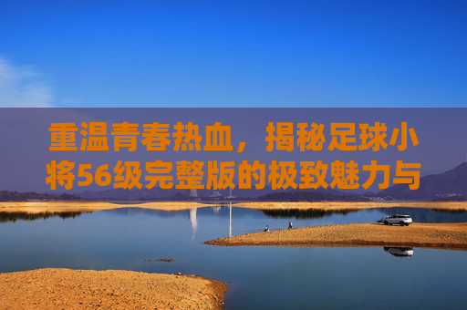 重温青春热血,揭秘足球小将56级完整版的极致魅力与回忆