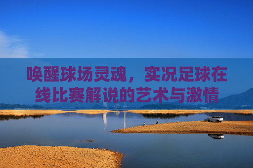 唤醒球场灵魂,实况足球在线比赛解说的艺术与激情