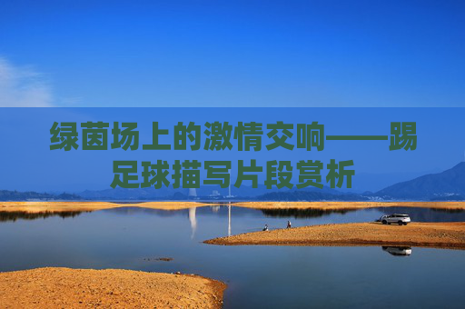 绿茵场上的激情交响——踢足球描写片段赏析