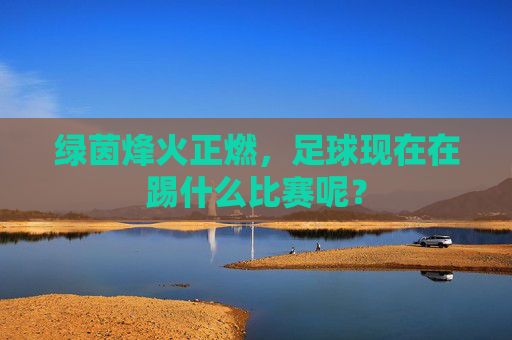 绿茵烽火正燃,足球现在在踢什么比赛呢?