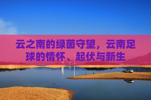 云之南的绿茵守望,云南足球的情怀、起伏与新生
