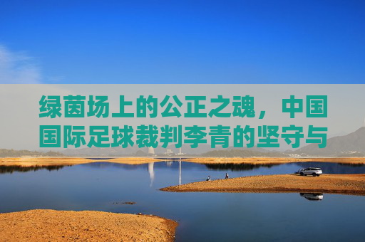 绿茵场上的公正之魂,中国国际足球裁判李青的坚守与荣光