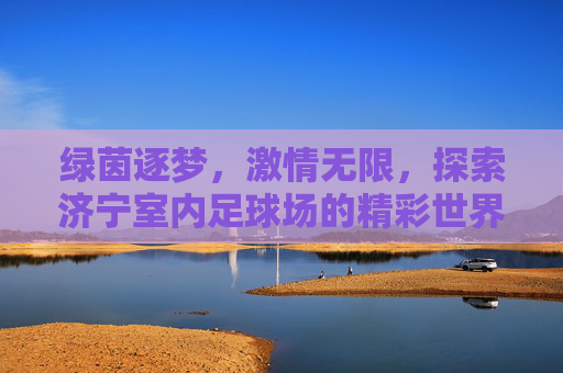 绿茵逐梦,激情无限,探索济宁室内足球场的精彩世界
