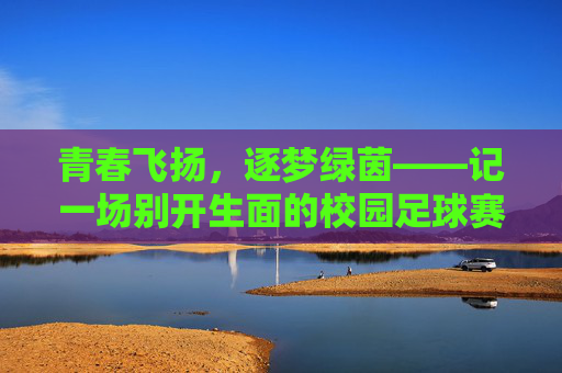 青春飞扬,逐梦绿茵——记一场别开生面的校园足球赛前加油活动