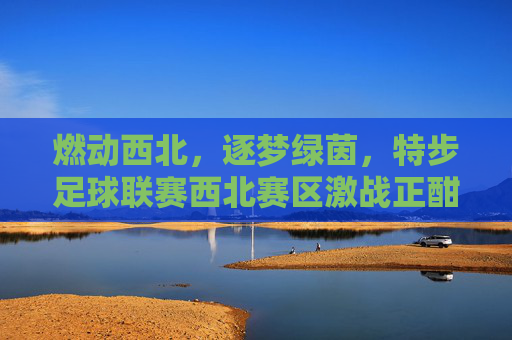 燃动西北,逐梦绿茵,特步足球联赛西北赛区激战正酣