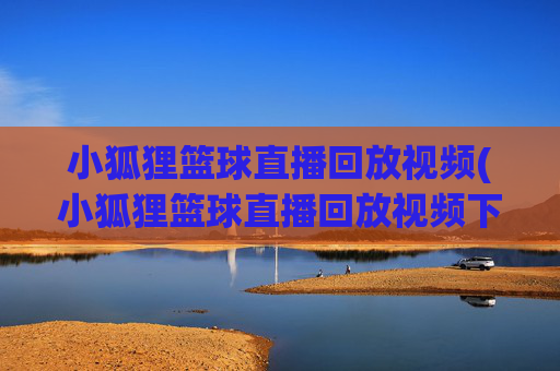 小狐狸篮球直播回放视频(小狐狸篮球直播回放视频下载)
