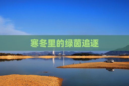 寒冬里的绿茵追逐