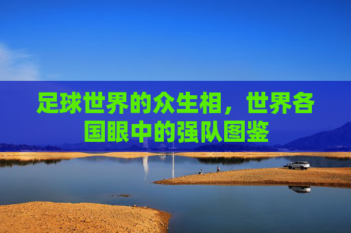 足球世界的众生相,世界各国眼中的强队图鉴