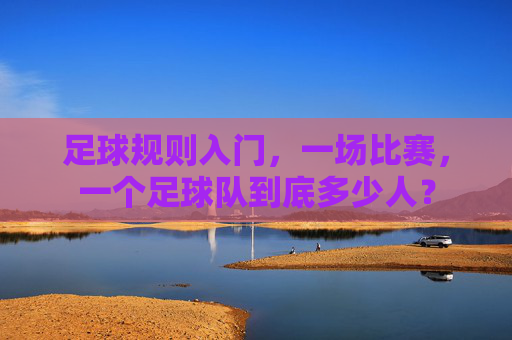 足球规则入门,一场比赛,一个足球队到底多少人?