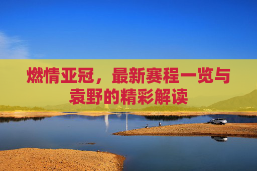 燃情亚冠,最新赛程一览与袁野的精彩解读