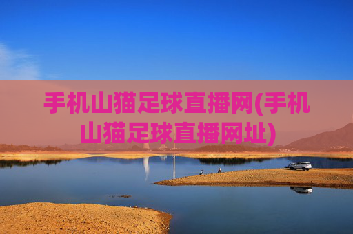 手机山猫足球直播网(手机山猫足球直播网址)