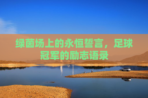 绿茵场上的永恒誓言,足球冠军的励志语录