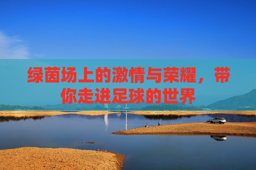 绿茵场上的激情与荣耀,带你走进足球的世界