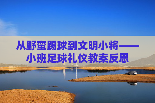从野蛮踢球到文明小将——小班足球礼仪教案反思