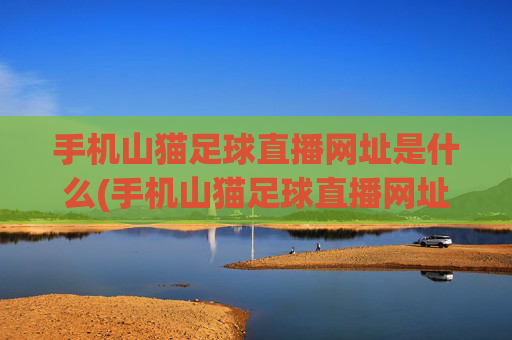 手机山猫足球直播网址是什么(手机山猫足球直播网址是什么啊)
