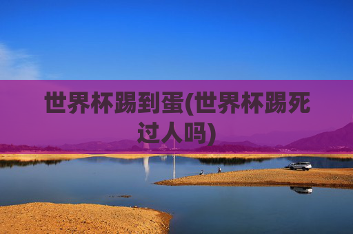 世界杯踢到蛋(世界杯踢死过人吗)
