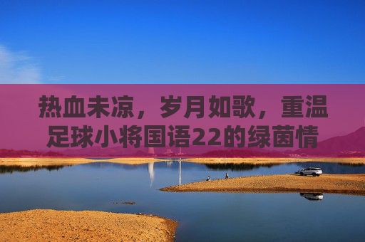 热血未凉,岁月如歌,重温足球小将国语22的绿茵情怀