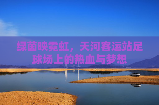 绿茵映霓虹,天河客运站足球场上的热血与梦想