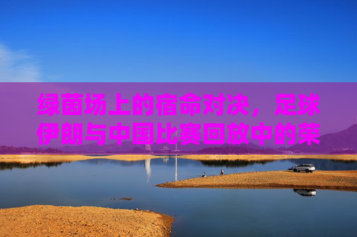 绿茵场上的宿命对决,足球伊朗与中国比赛回放中的荣耀与遗憾