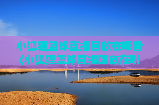 小狐狸篮球直播回放在哪看(小狐狸篮球直播回放在哪看啊)