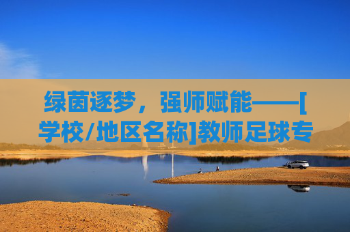 绿茵逐梦，强师赋能——[学校/地区名称]教师足球专项培训活动圆满落幕