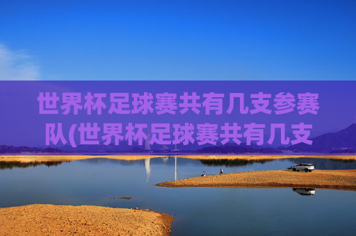世界杯足球赛共有几支参赛队(世界杯足球赛共有几支参赛队伍)