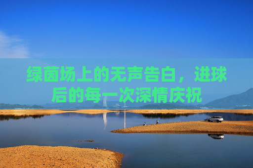 绿茵场上的无声告白,进球后的每一次深情庆祝