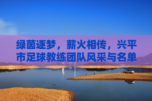 绿茵逐梦,薪火相传,兴平市足球教练团队风采与名单一览