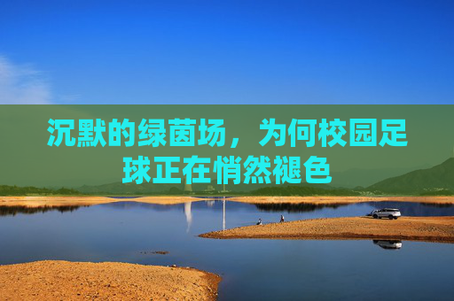 沉默的绿茵场,为何校园足球正在悄然褪色