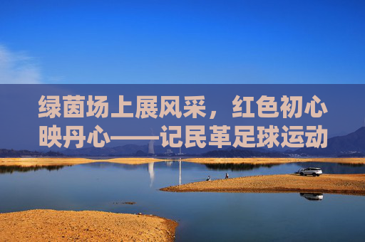 绿茵场上展风采,红色初心映丹心——记民革足球运动员的拼搏故事