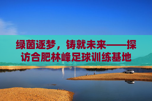 绿茵逐梦,铸就未来——探访合肥林峰足球训练基地