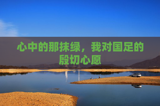 心中的那抹绿,我对国足的殷切心愿