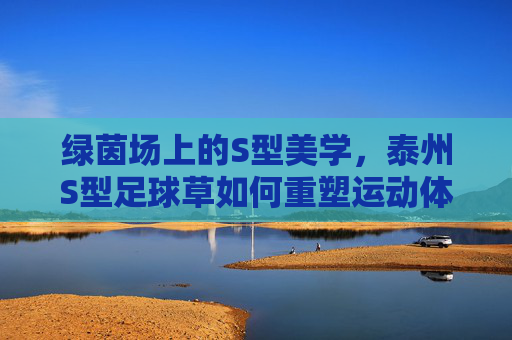绿茵场上的S型美学,泰州S型足球草如何重塑运动体验