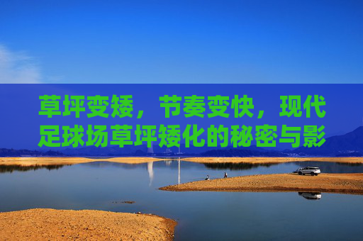 草坪变矮,节奏变快,现代足球场草坪矮化的秘密与影响