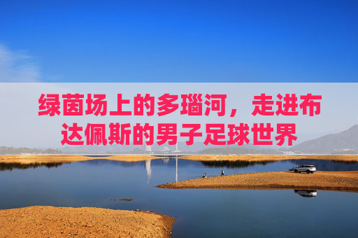 绿茵场上的多瑙河,走进布达佩斯的男子足球世界